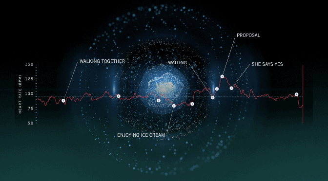 data_visualization.gif